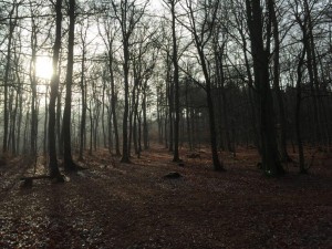 Weihnachten-IMG 1544-300x225 in